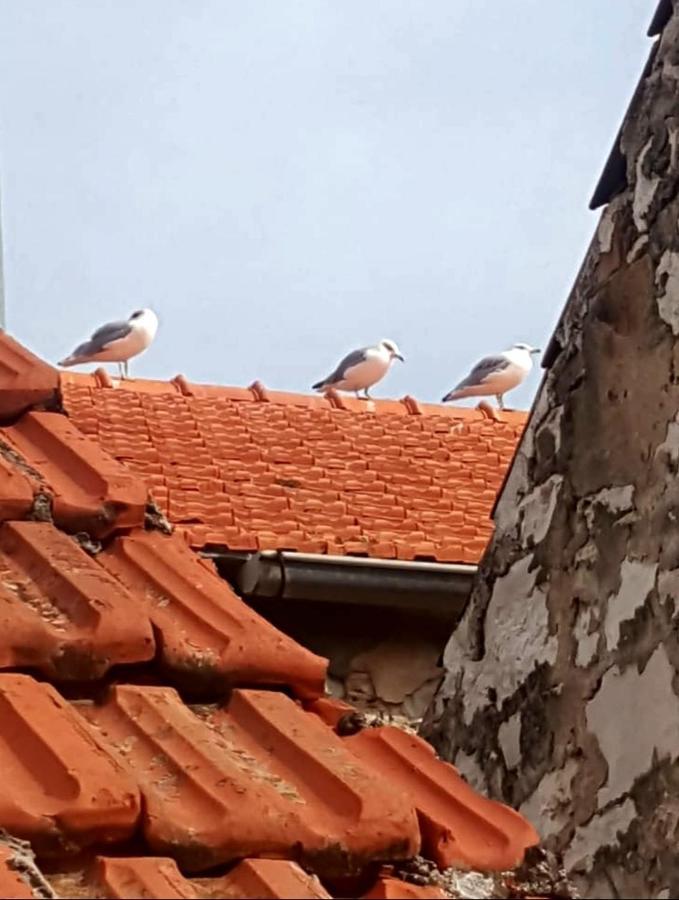 Hvar Heart Heritage Apartment Stari Grad  Eksteriør bilde
